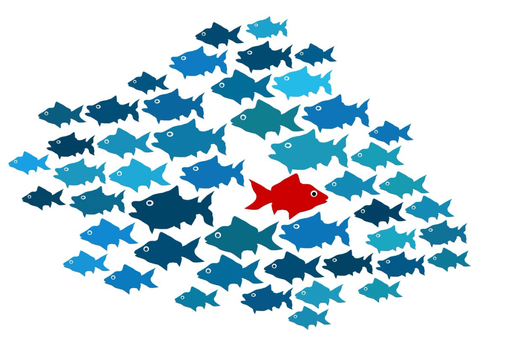 fish-1_4q-yBbRQihKnksYaJGto8A