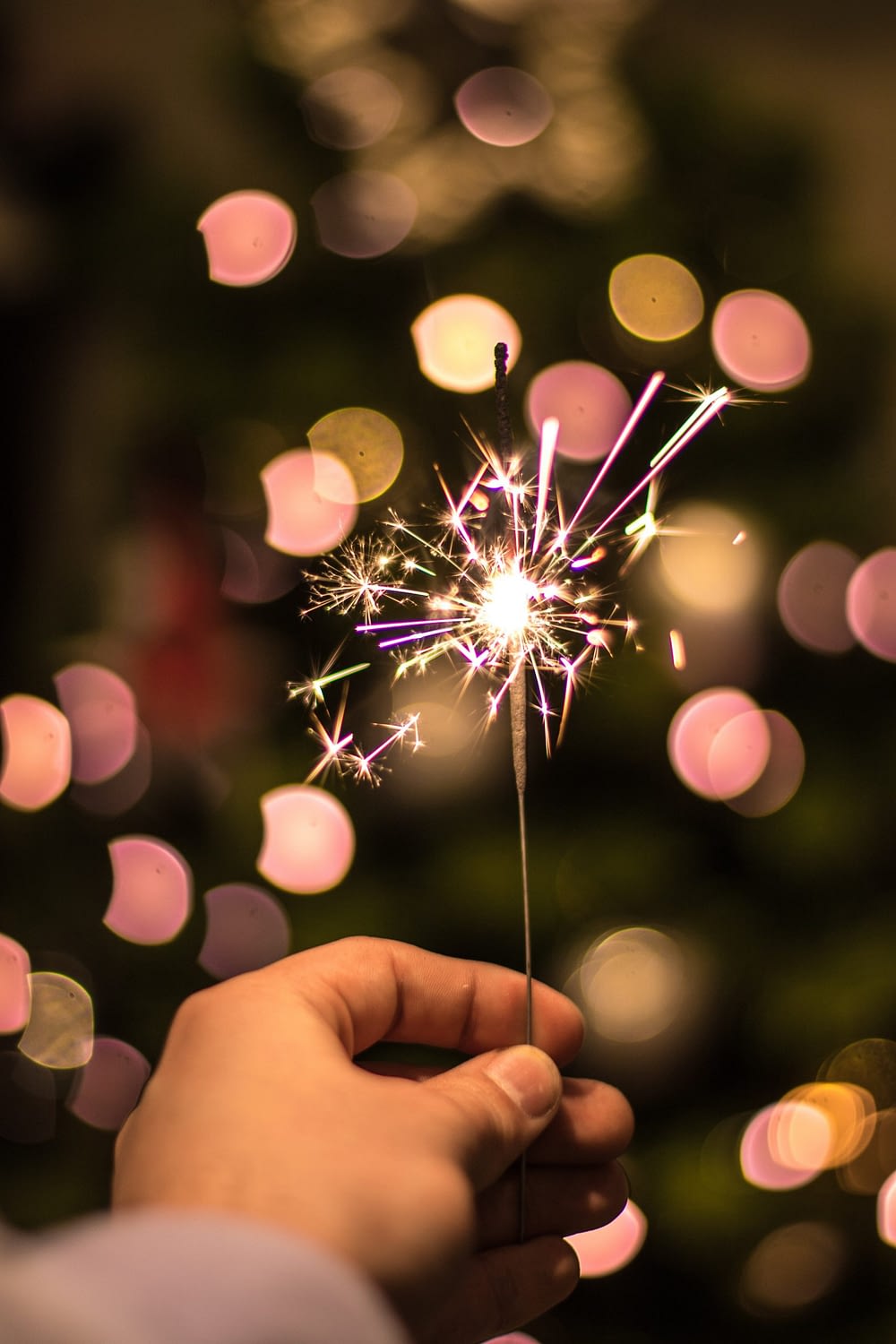 wout-vanacker-l4HBYkURqvE-unsplash