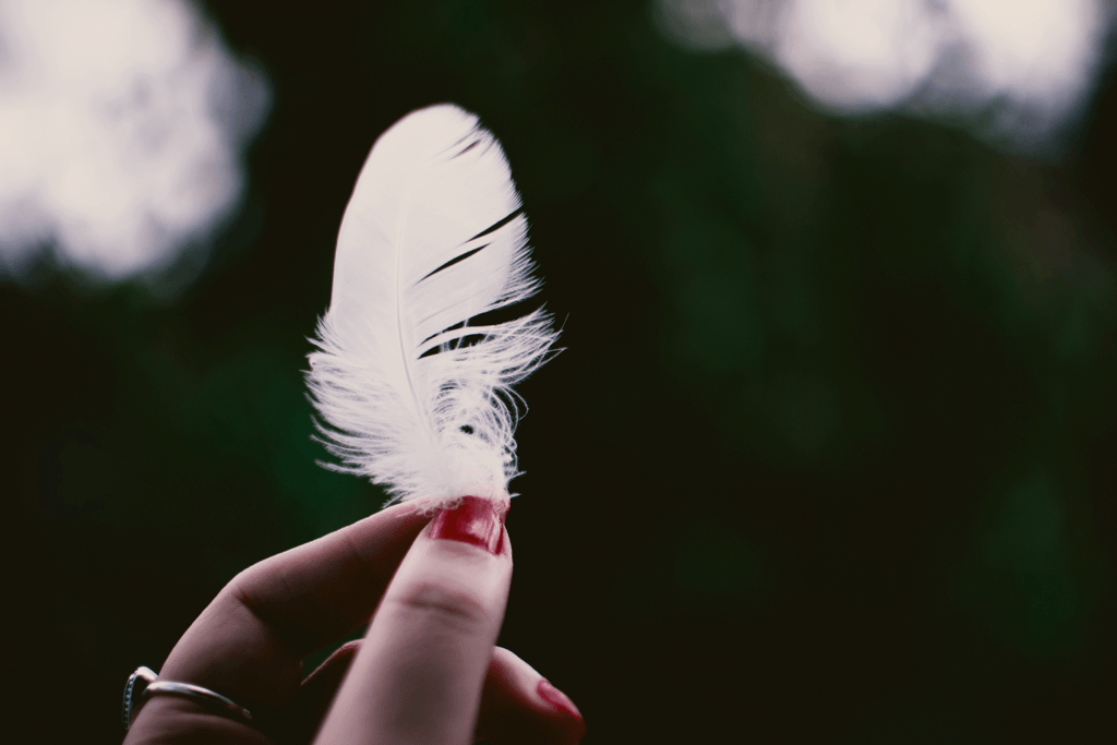 feather