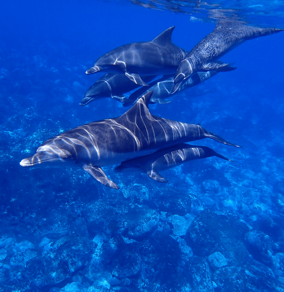 sea-1677647_1280